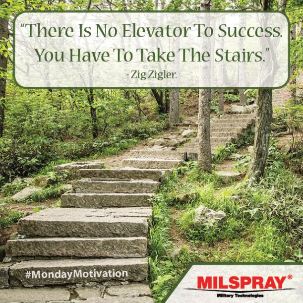 There-is-no-elevator-to-success-you-have-to-take-the-stairs